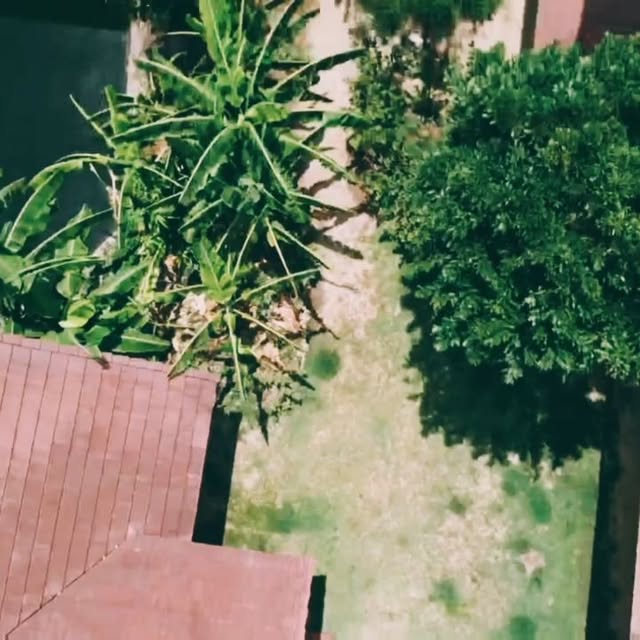Video by Ban9chang on April 28, 2021.